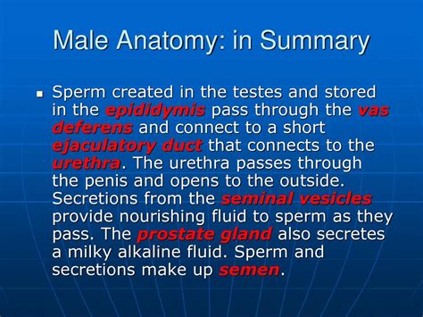 testes secretes a thick alkaline fluid|14.2: Anatomy and Physiology of the Male Reproductive System.